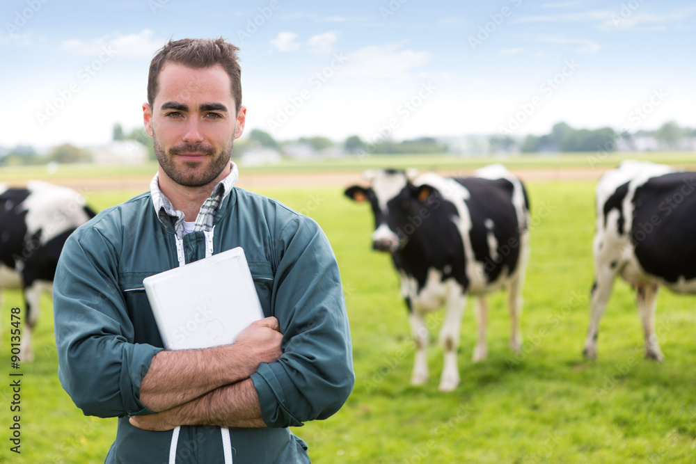 Portrait of a young attractive farmer in a pasture with cows - obrazy, fototapety, plakaty 