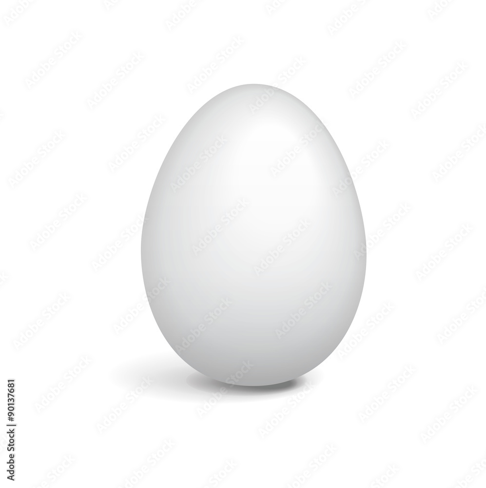 Illustration of Egg Illustration of Egg