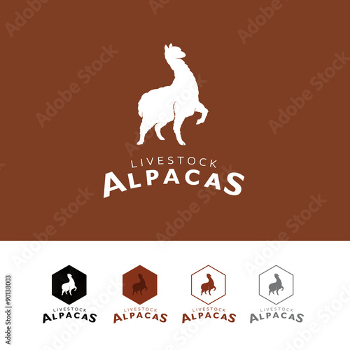 Livestock Alpacas