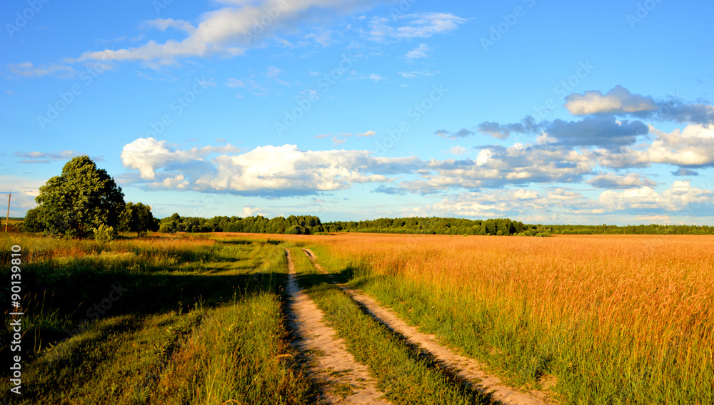 Fototapeta premium Наше лето