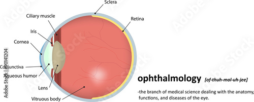 Ophthalmology 