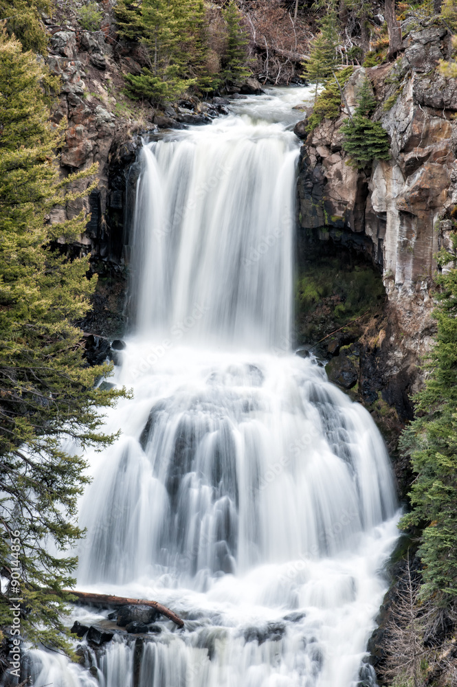 Obraz premium Undine Falls, Yellowstone