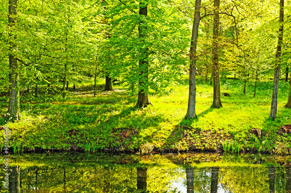 Greenwood Greenwood
