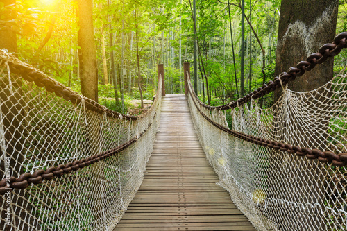 Suspension bridge in the forest photo