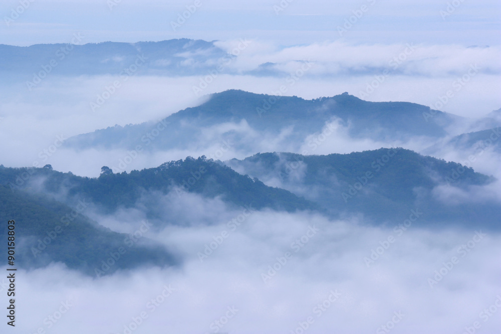 beautiful mist sea on top moutain