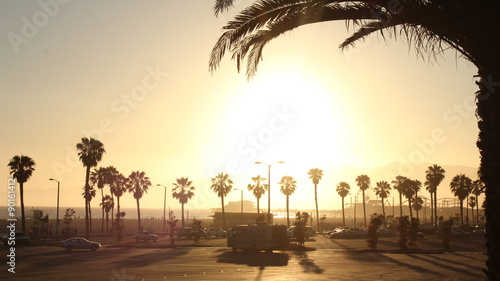 West Coast Beach Parking Lot and Palm Trees photo
