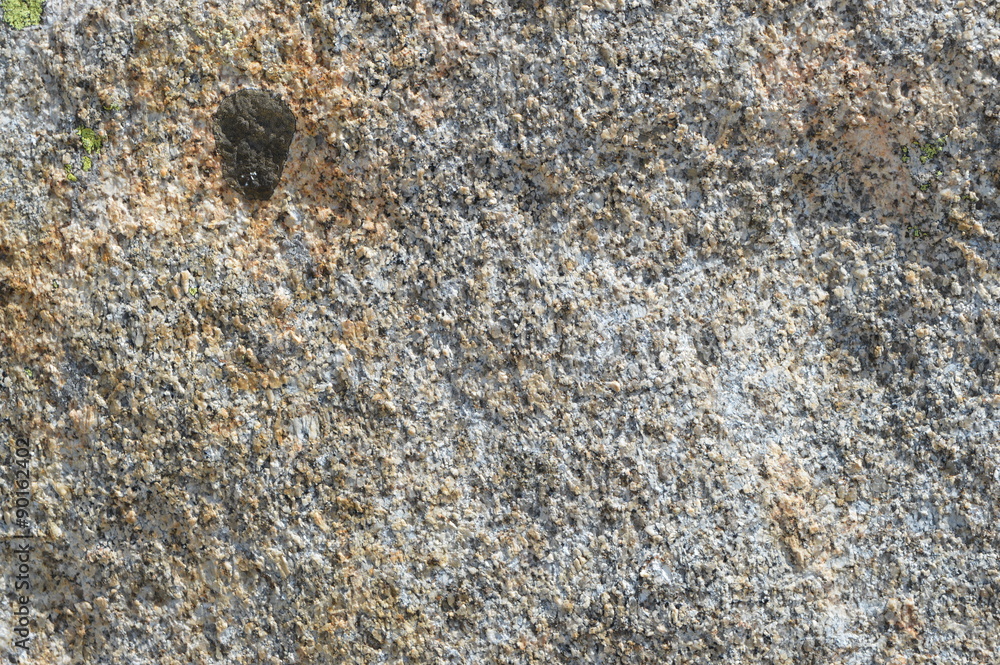 Roche