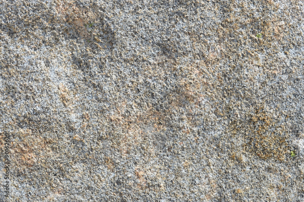 Roche