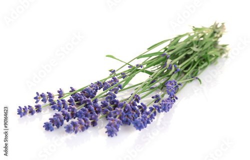 Lavender flowers isolated on white