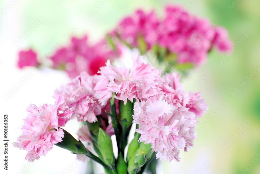 Beautiful bouquet of pink carnation in vases close up