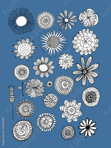 Flowers collection, sketch for your design