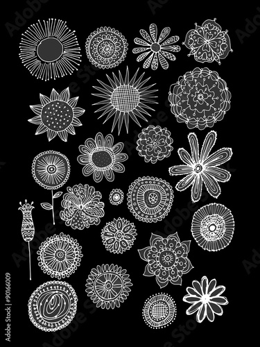 Flowers collection, sketch for your design