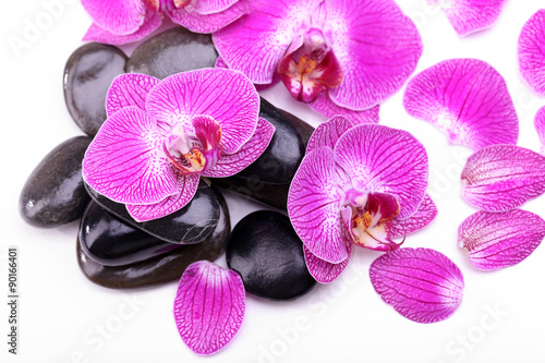 Violet orchid and zen stones isolated on white