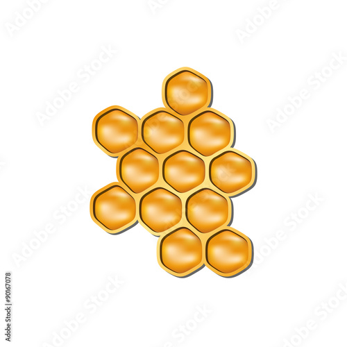 Bee honeycomb