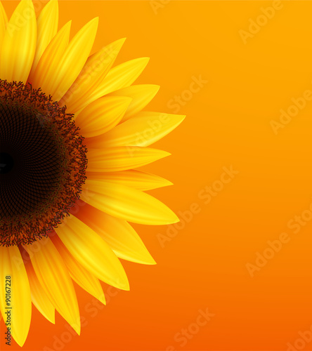 Sunflower background, yellow flower over orange background