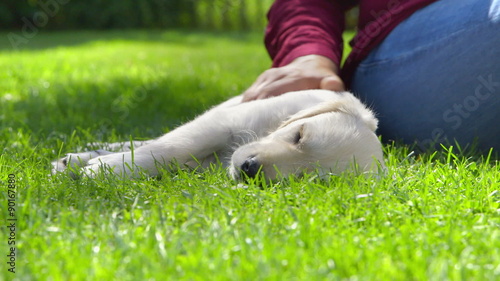 Woman is Stroking her Sleeping Puppy
 photo