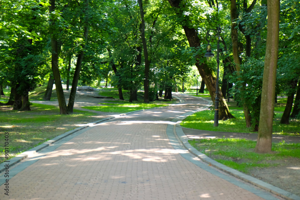 Green city park alley