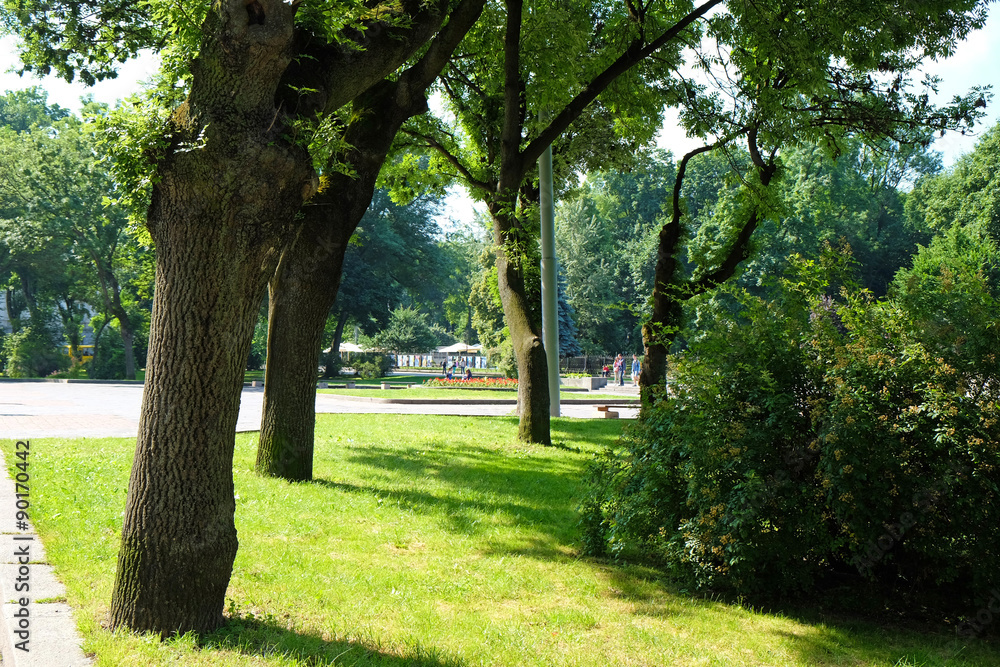 Obraz premium Green city park alley