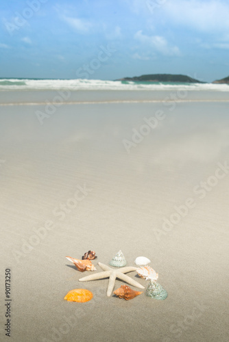Fototapeta Naklejka Na Ścianę i Meble -  Starfish and shells on sandy beach