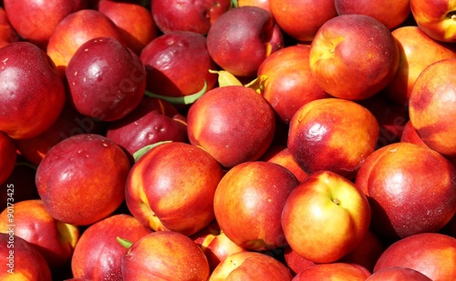 nectarines for sale at vegetable market in summer