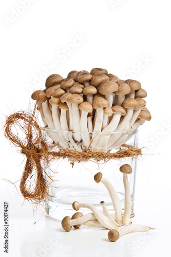 Photos fresh mushrooms