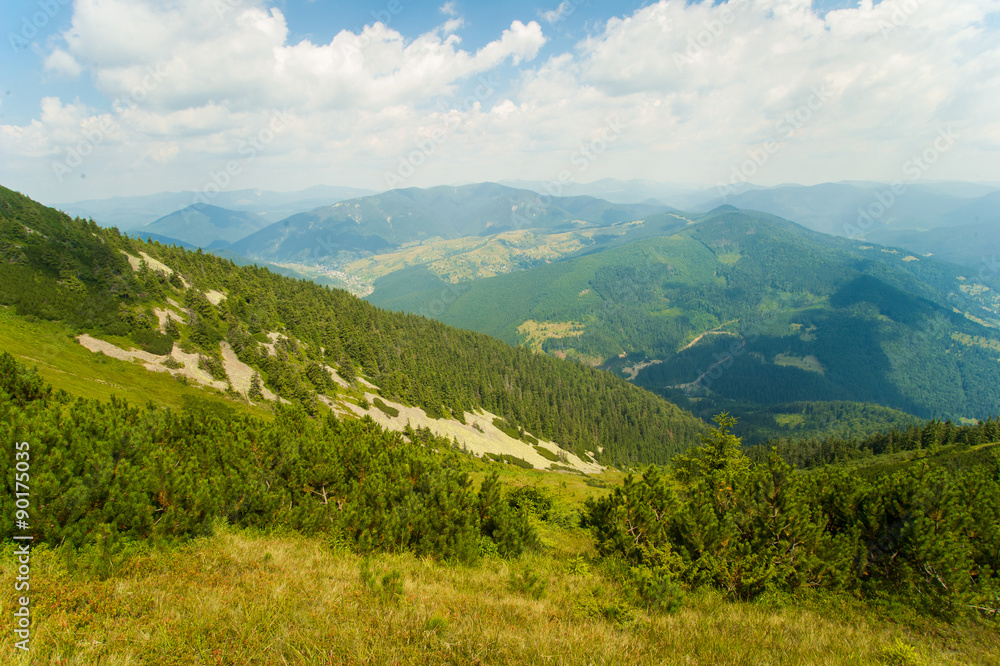 Fototapeta premium Beautiful meadows on mountains