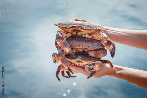Three crabs
