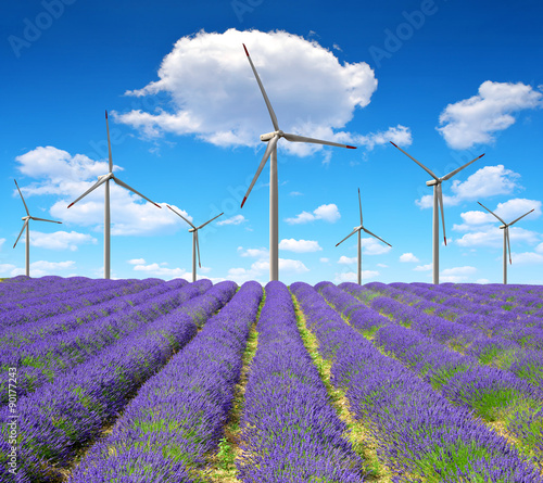 Fototapeta Naklejka Na Ścianę i Meble -  Lavender field with wind turbines