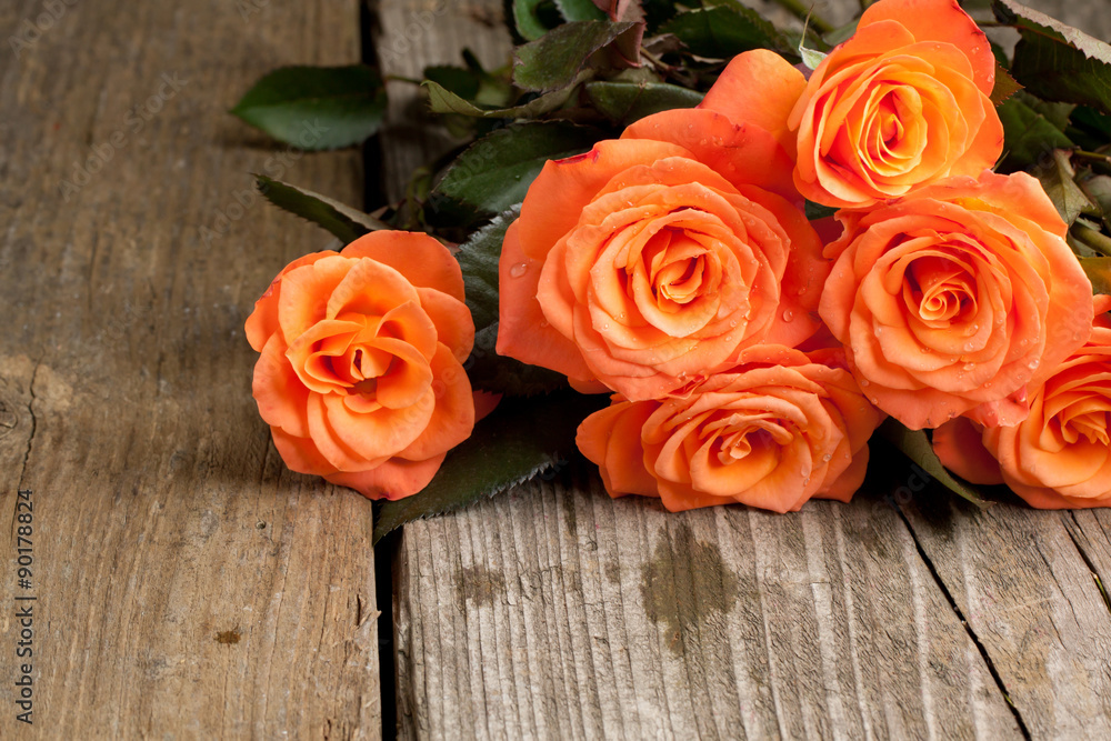 Naklejka premium Orange roses