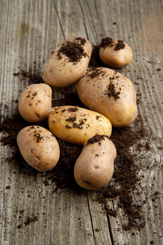 Potatoes in soil