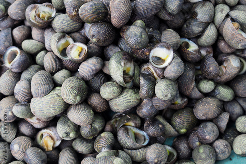 Local nerites food in market. Local nerites can be found in Andaman, Phang-nga province, Sounth of Thailand photo