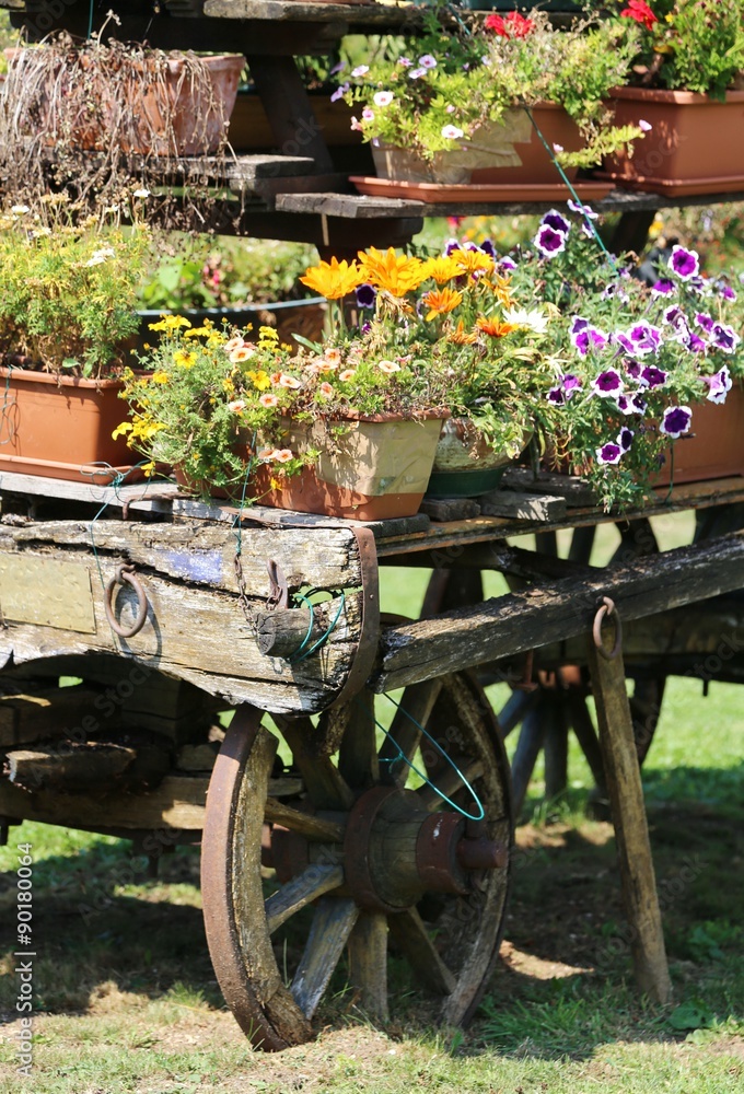 antique ornate wood cart full of blooming flowers in spring