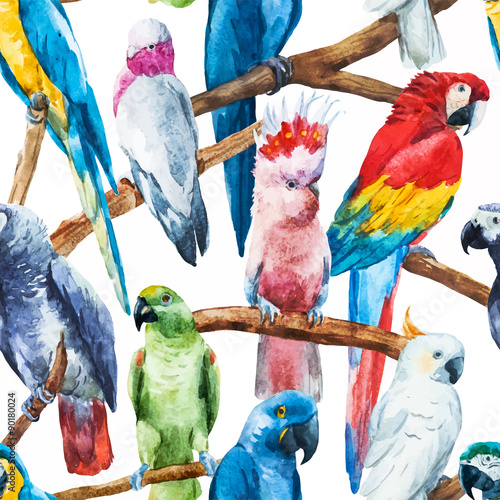 Watercolor parrot pattern