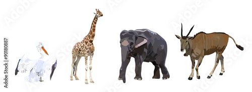 Pelican, antelope, elephant and giraffe on a white background
