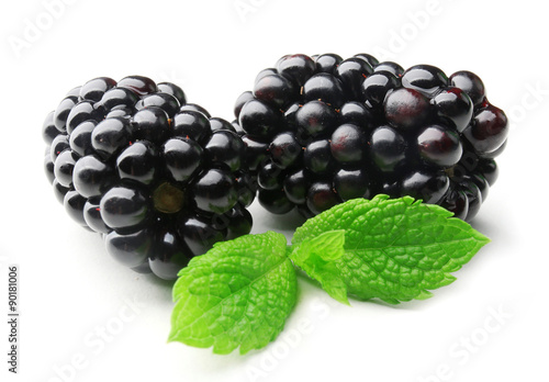 Ripe blackberries with green leaves isolated on white