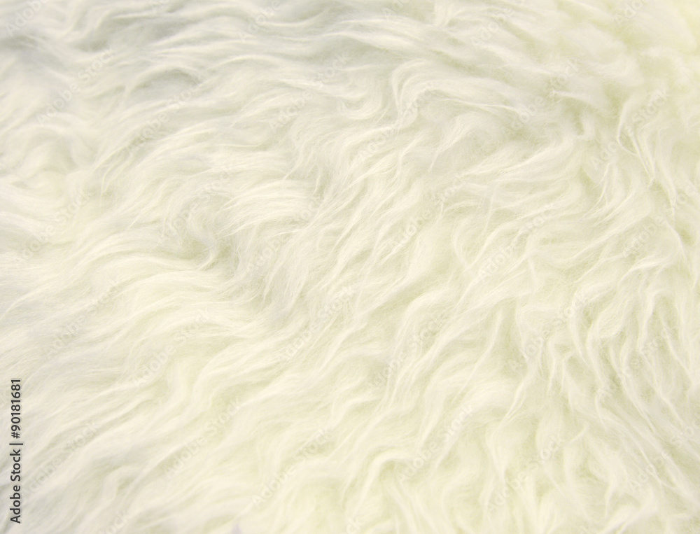 Fototapeta premium white fur texture background