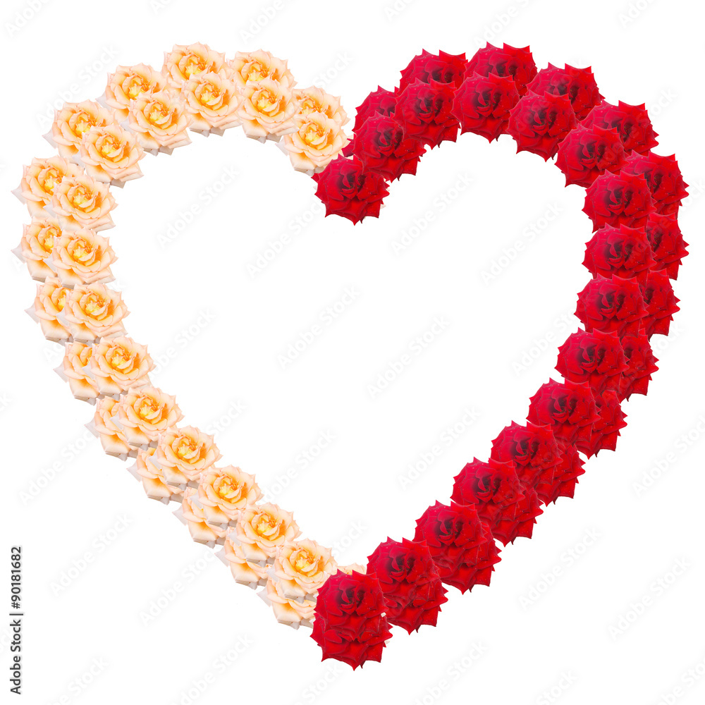 heart of roses in two colors isolated on white background heart of roses in two colors isolated on white background