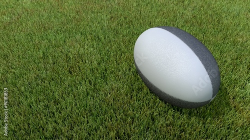 ballon rugby pelouse top noir