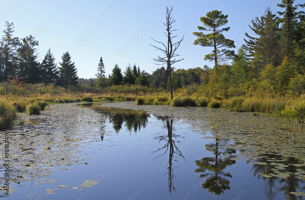 Obraz premium Wilderness Lake