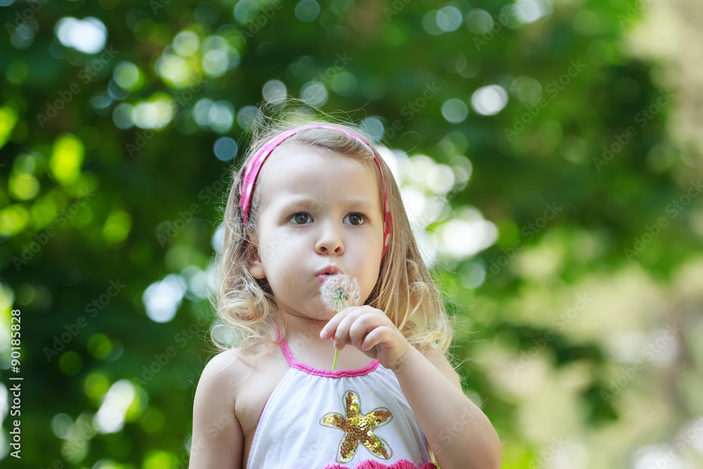 Preschooler girl blowing on white Taraxacum officinale or common