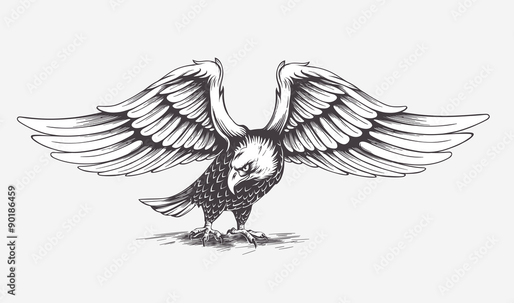 Obraz premium Detailed Hand Drawn Eagle. Vector. 