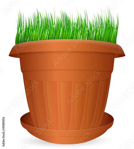 flowerpot grass