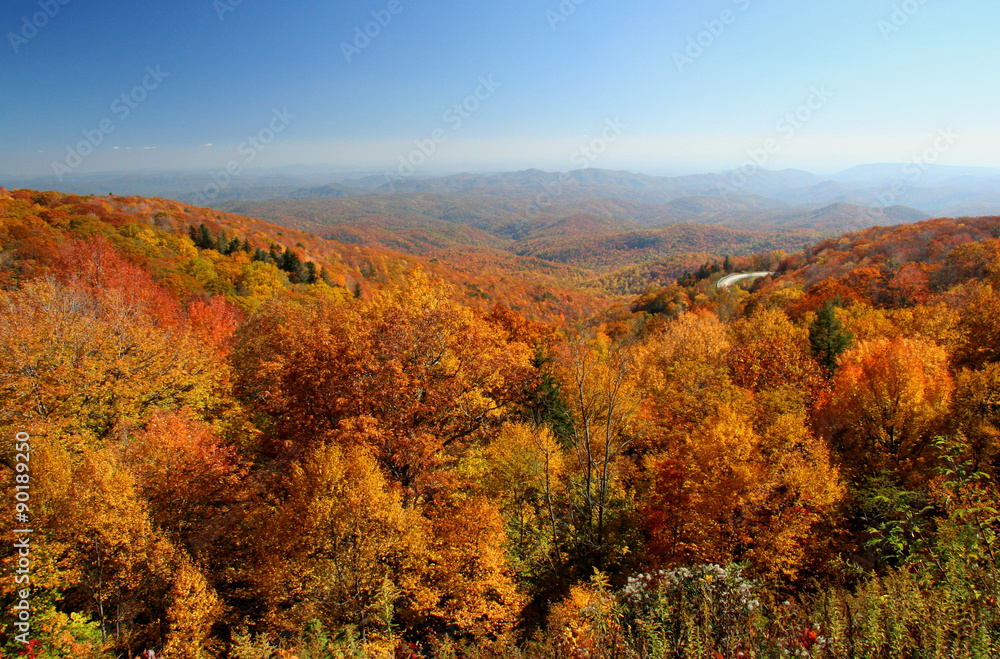 Mountain Overlook in Autumn
