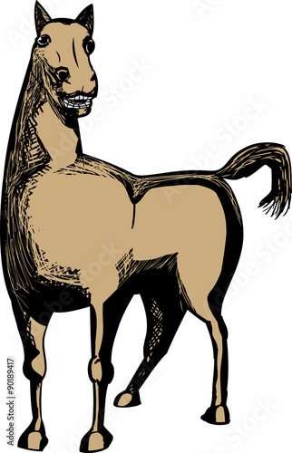 Single Brown Horse
