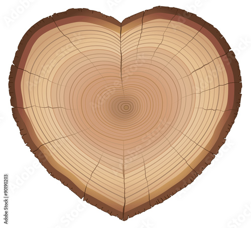 Heart shaped wood slice with annual rings, as a symbol for loving nature, trees, conservation or environment protection. Isolated vector illustration on white background.