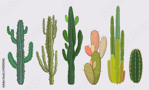 Cactus collection in vector illustration