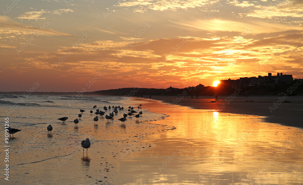 Sunset on Ocean Beach with Seagulls Sunset on Ocean Beach with Seagulls