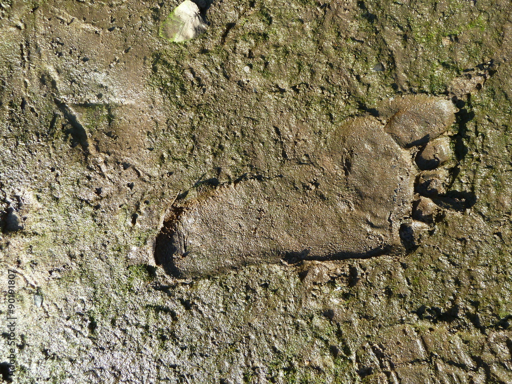 Fußspur StockFoto Adobe Stock