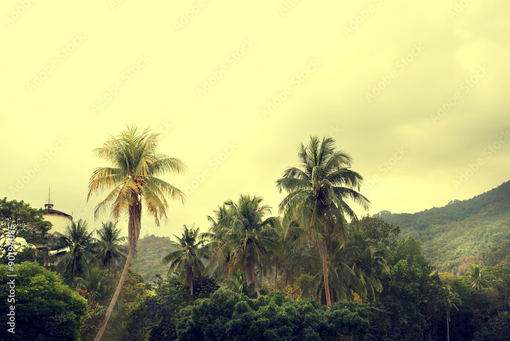 Vintage nature background of coconut palm tree on tropical beach with sunlight of in summer,  retro effect filter
