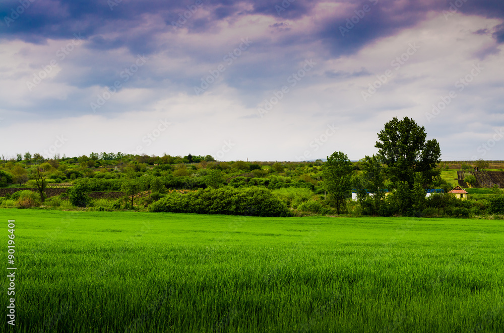 green field and storm green field and storm